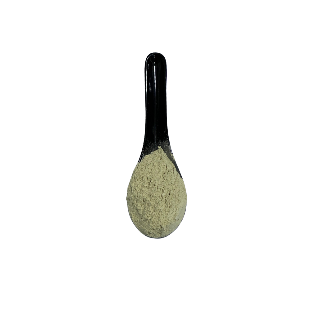 Garlic Powder