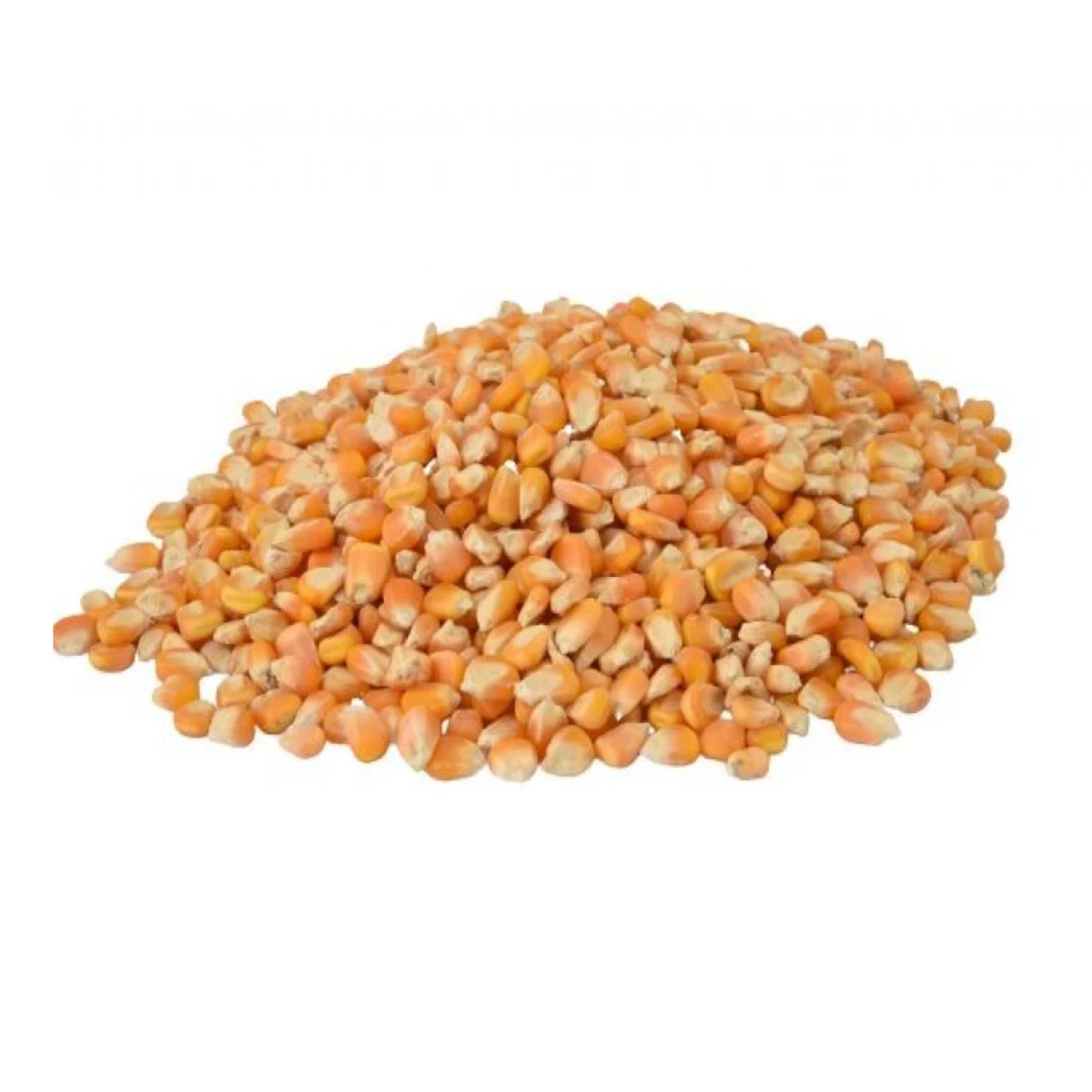 Yellow Pop Corn 20 kg