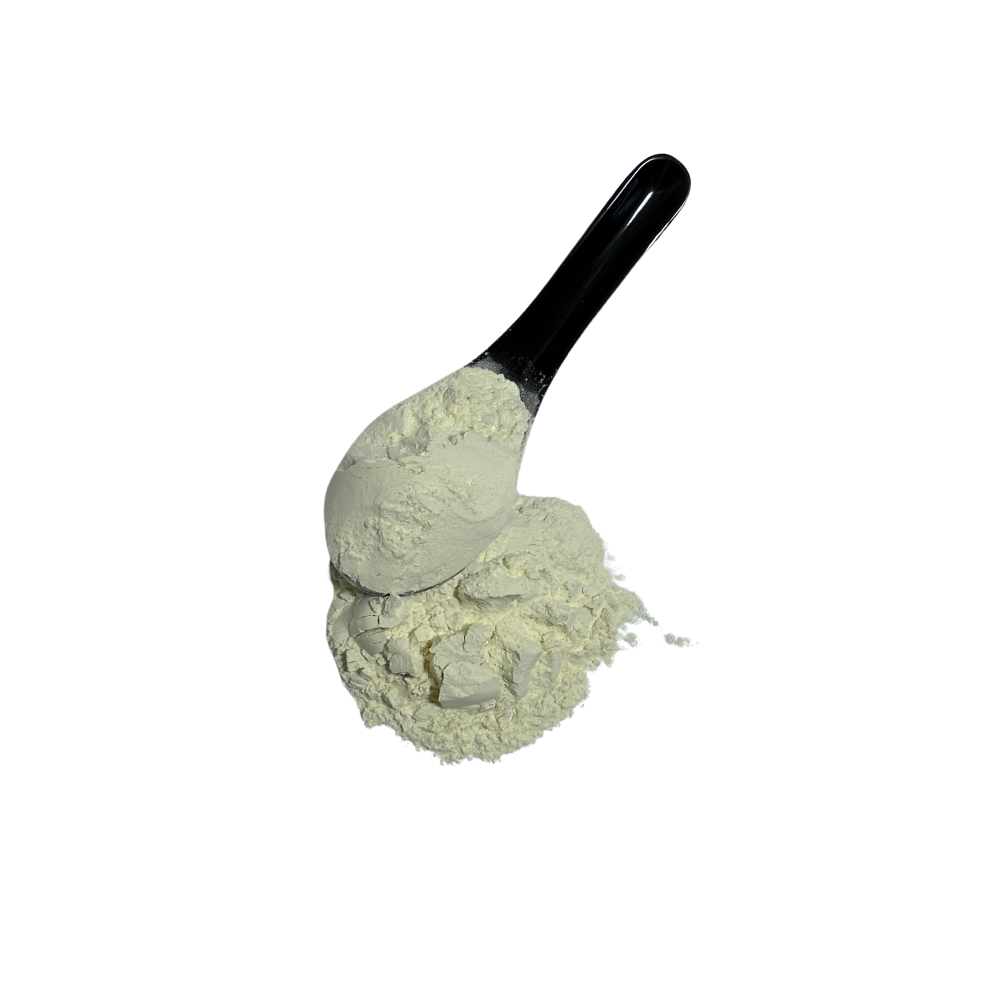 Onion Powder
