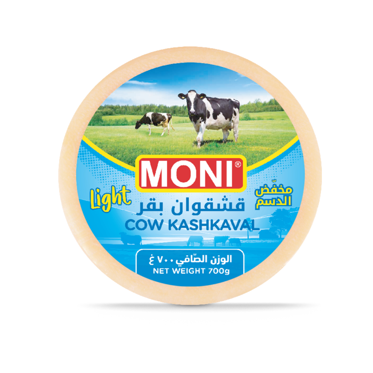 Moni Kashkaval cheese 20 × 700 g