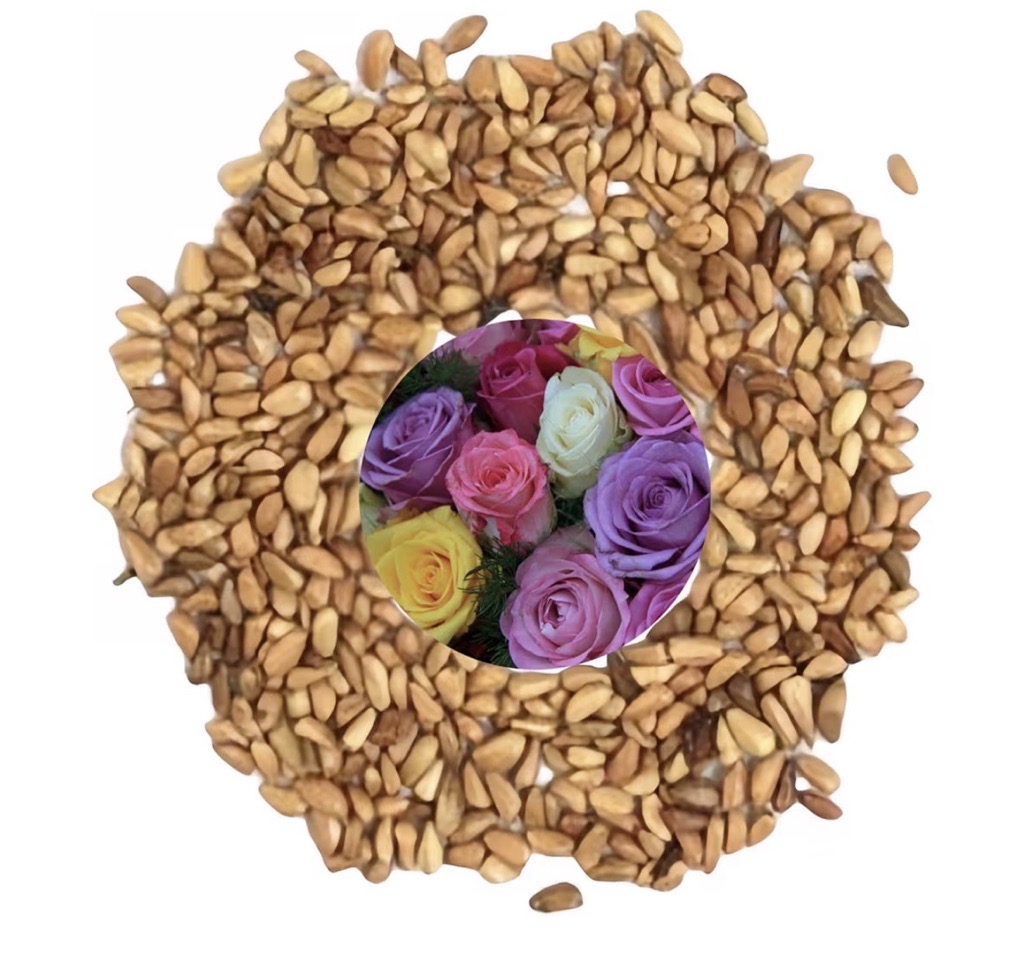 rose seeds