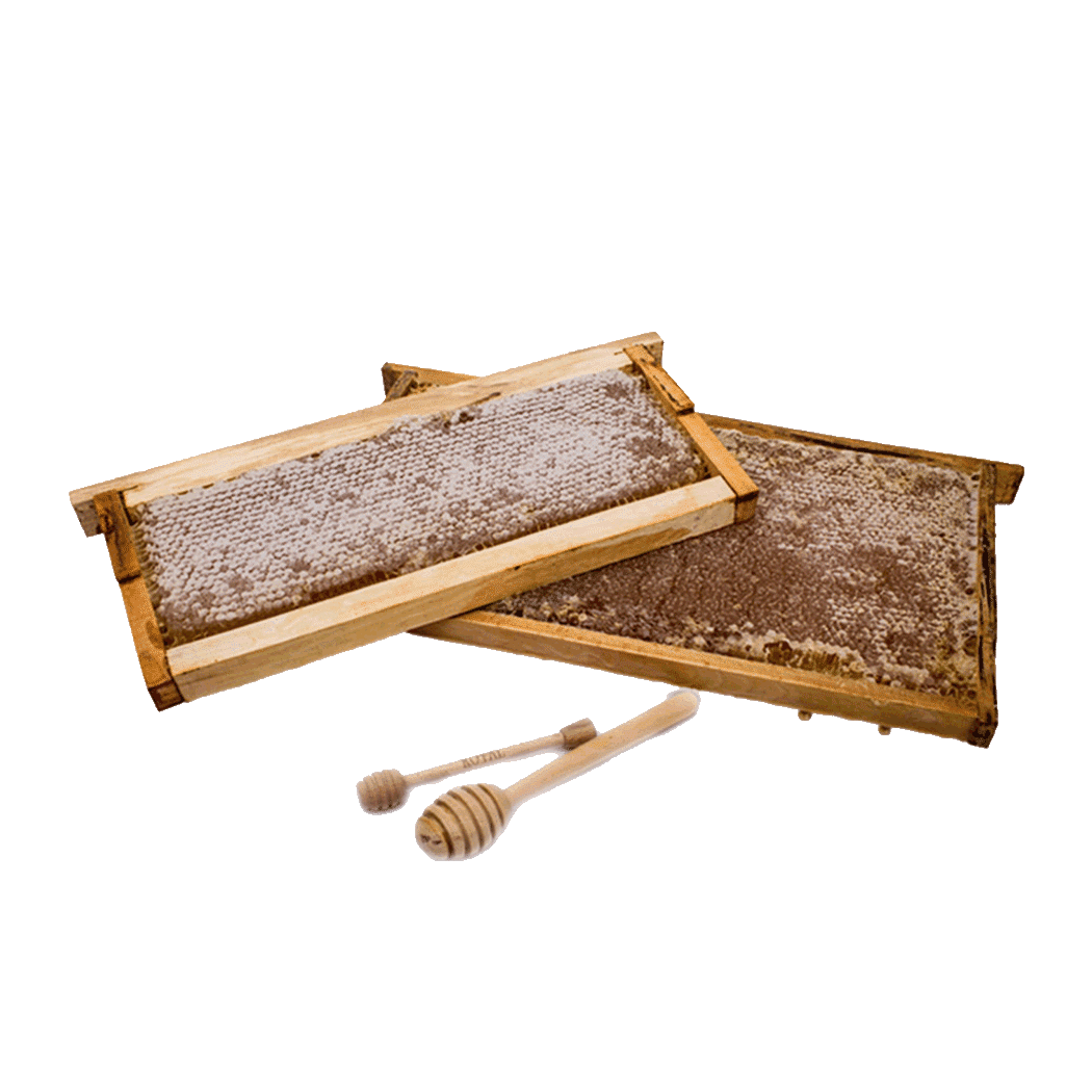 Honey with wooden wax 6 × 2800 g
