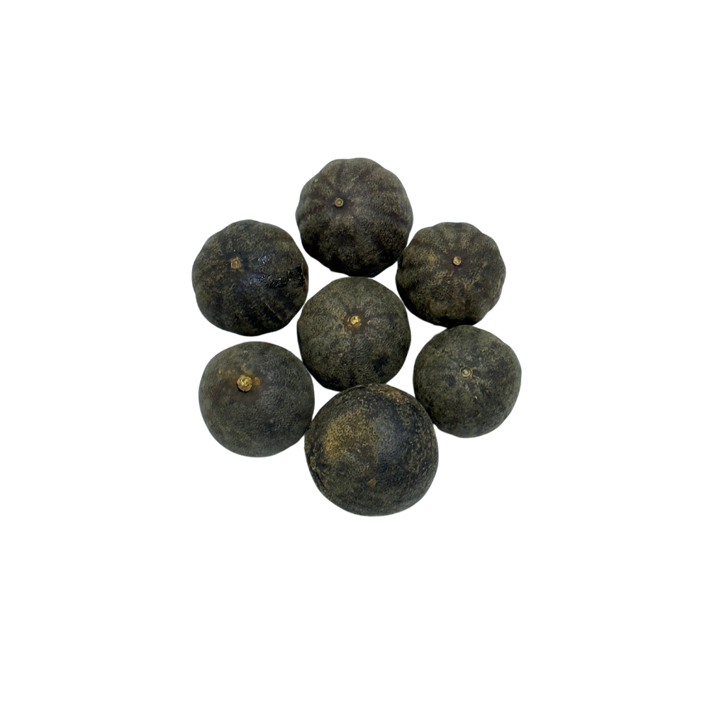 Plume Black Whole