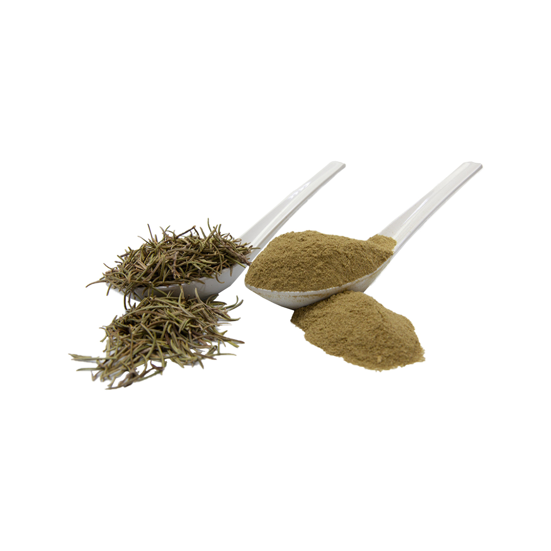 Rosemary Powder