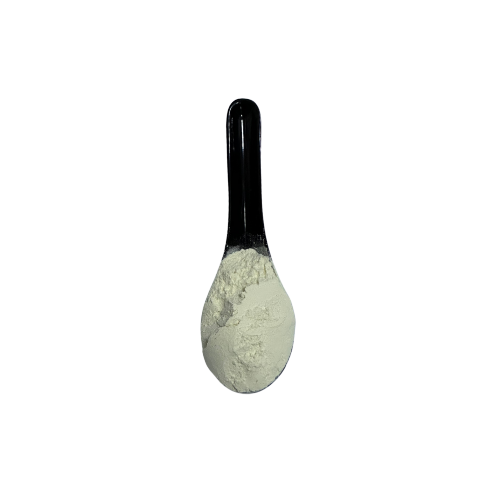 Onion Powder