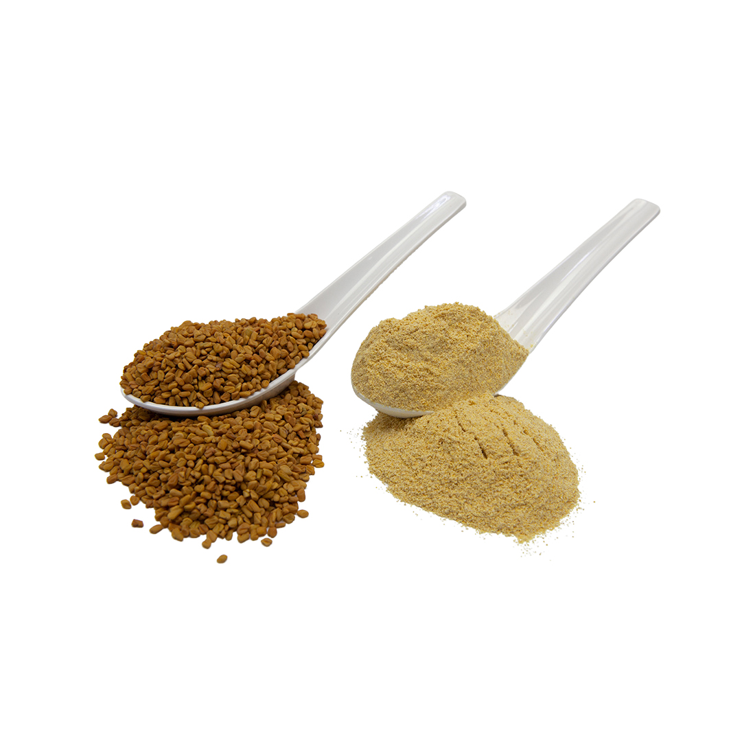 Fenugreek Powder